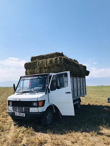 кочкор авто: Mercedes-Benz T1: 1991 г., 2.9 л — 1