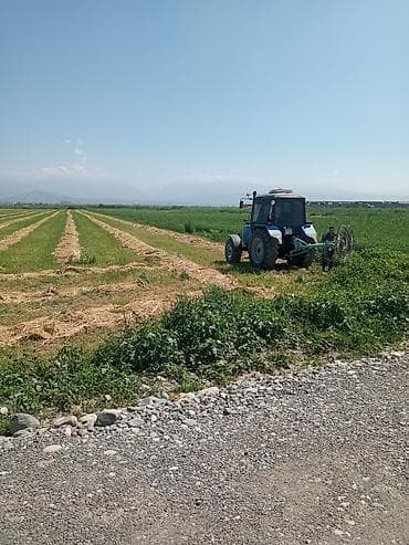 сахарный поссум цена: Ассалям алейкум,подпокровный беде люцерна менен себилген баш алган — 9