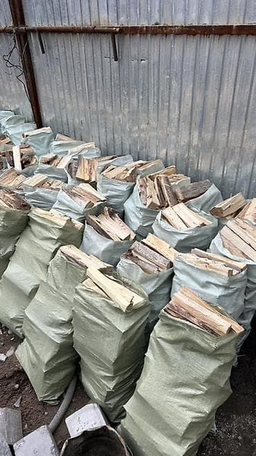 дерево береза: Дрова Тополь — 3