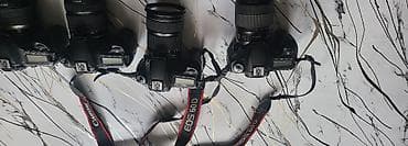 Зеркальная камера Canon (серия EOS) - Байонет Canon EF/EF-S, «горячий — 4