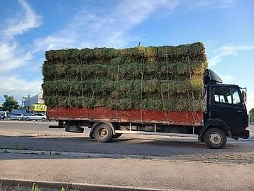 Беде клевер люцерно экспорсет с доставкой любой регион цена договорная