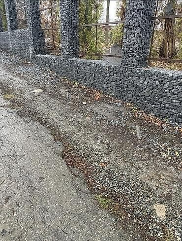 дибан: Габион тосмолор, Кепилдиги — 3