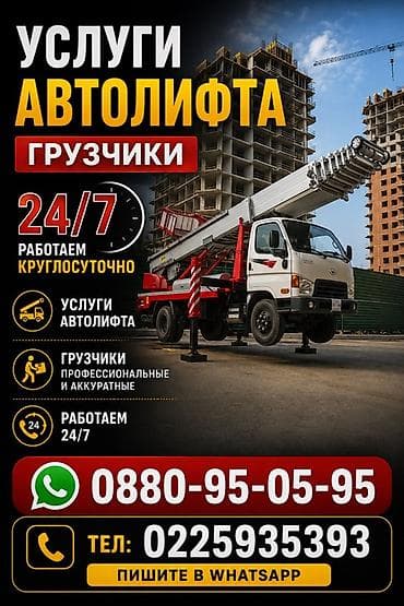 автомойка в аренду в бишкеке: Стрела 45 м, 250 т — 1