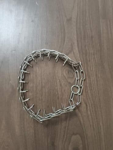 акустические системы spdif колонка в виде собак: Строгий ошейник (парфорс) для собак - Материал: нержавеющая сталь — 1