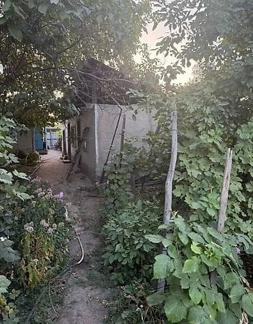 🏡 Продаётся частный дом с участком 8,5 соток 📍 Маевка, середина села