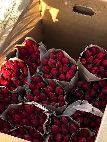 туулган кунго букет: Букет тюльпанов в фирменном пакете - Элегантная композиция из — 3