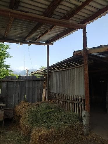 кочкор ата недвижимость: Продаётся дом на ИссыкКуле, село Ананьево из 4-х комнат. Имеется — 7