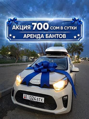 цена на лук в бишкеке: 🚘АКЦИЯ — всего 700 сом/сутки! Подходит на любую машину Предлагаем — 1