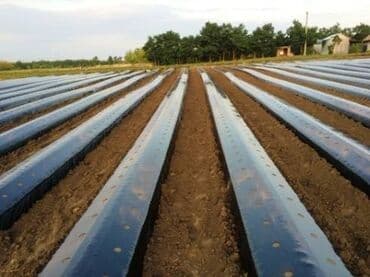 продам шланг для полива: Труба для водопровода Материал: Пластик, Диаметр 20 мм, Толщина стенки: 1 мм — 6