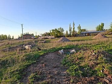 бассейин б у: 13200 соток, Для строительства, Красная книга — 5