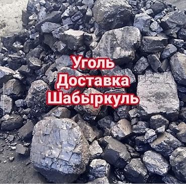 угольный брекеты: Уголь Шабыркуль с доставкой по Бишкеку — 1