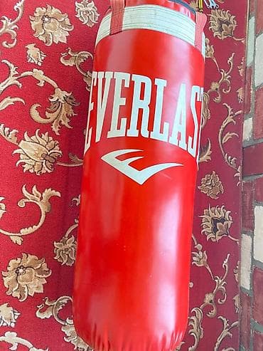 читать книгу гравити фолз дневник 1: Боксёрский мешок Everlast (подвесной), красный. - Бренд: Everlast - — 1