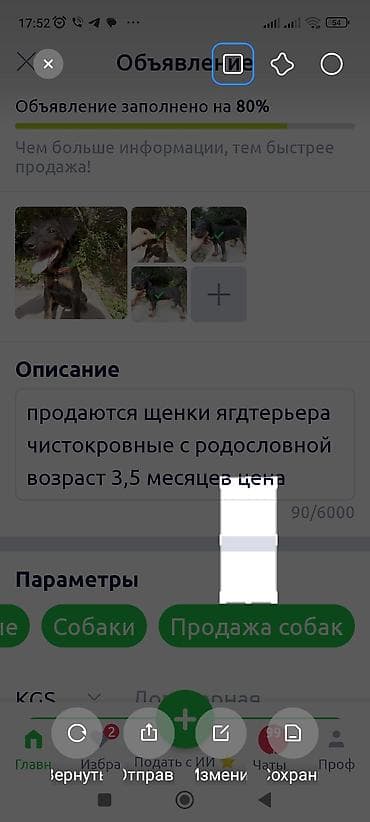 собаки таксы: Ягдтерьер, 3 месяца, Самец — 4