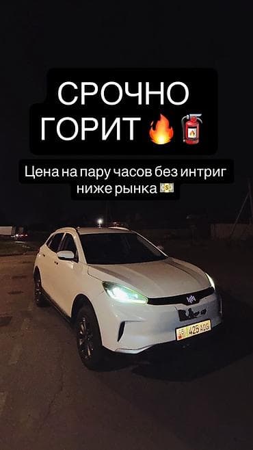 byd delphin: Weltmeister E5, 2021 г. — 1