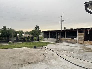 с участком: Продаётся отдельный дом с большим участком и благоустроенным двором — 5
