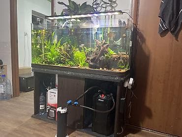 чёрный ящик: Аквариумный комплект для акваскейпа и тропических рыб - Стеклянный — 2