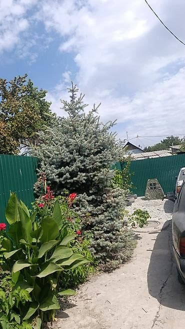 санузла: СРОЧНО ПРОДАЁТСЯ КИРПИЧНЫЙ ДОМ В БИШКЕКЕ! 📍 Район: рынок Баят / Азиз 🌳 — 6