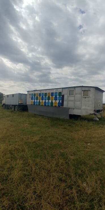 Компрессорлор: Продаю готовый бизнес, пасека в комплекте. (БЕЗ ПЧЕЛ) -Павилион 1984 — 1