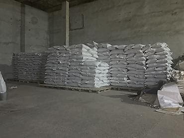 чон айгыр: Эспарцет оптом 
Гарантия 100% — 5