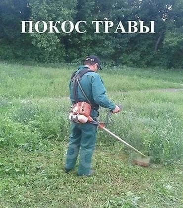 Уборка территории: Уборка территории, Стрижка газона — 1