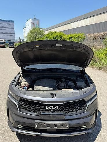 Kia Sorento: 2021 г., 2.2 л, Робот, Дизель, Кроссовер — 6