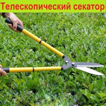 пылесос дордой: Сдам в аренду — 4