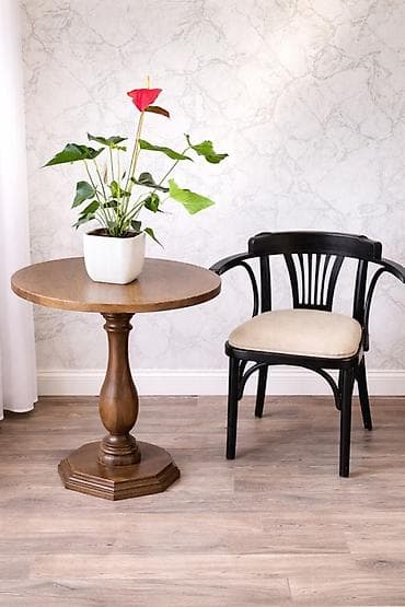 stol: Стол и стул для зала, цвет - Коричневый — 2