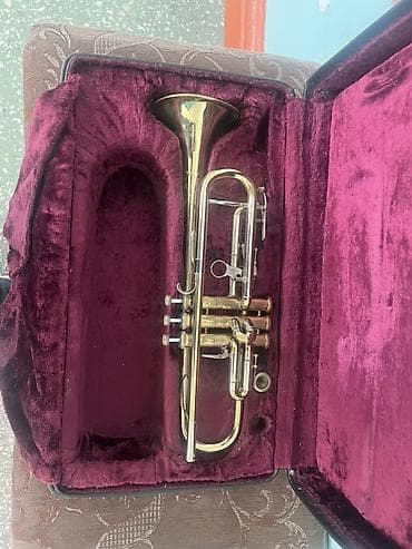 Музыкальные инструменты: Скрипка 4/4 и труба в кейсах — комплект для обучения и выступлений — 4