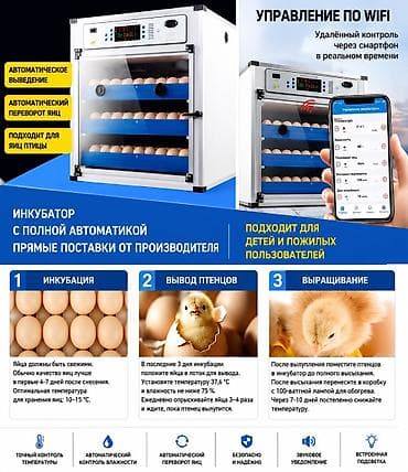 4 нитка новый: 🔥 Автоматические инкубаторы нового поколения 🔥 Идеально для дома — 2