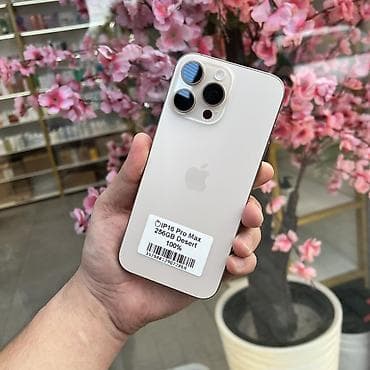 IPhone 16 Pro Max, Колдонулган, 256 ГБ, Desert Titanium, 100 % — 8