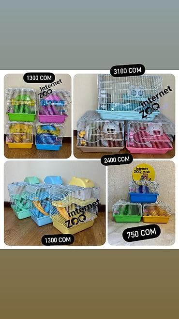 дешевые клетки для хомяков: У нас большой выбор клеток для хомяков. Одноэтажные, двухэтажные — 5