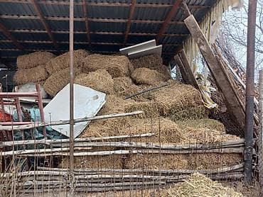 Прессованные тюки