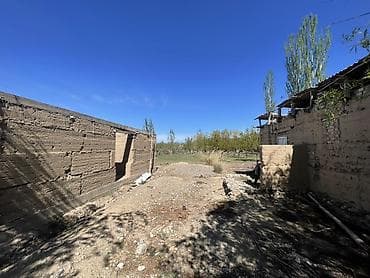 пакет одежды: Плодовый сад/участок с плодовыми деревьями. - Ухоженные ряды — 10