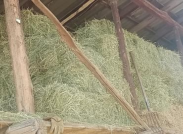 Аквариумдар: Беде пресс сатылат. Ош мады айылында — 2