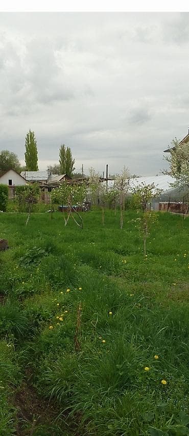 славян: 7 соток, Для строительства, Красная книга — 1