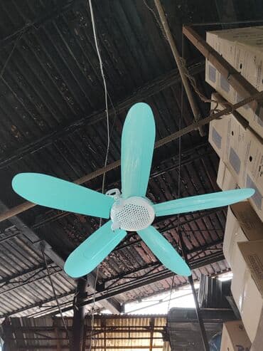 винтилятор ош: Желдеткич Шып үчүн (Потолок үчүн), Канаттары менен — 2