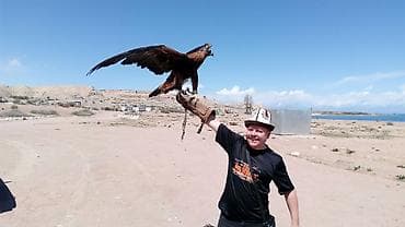 Туристические услуги: Guide, chauffeur au Kyrgyzstan, tourism, voyages, excursions, balades — 1