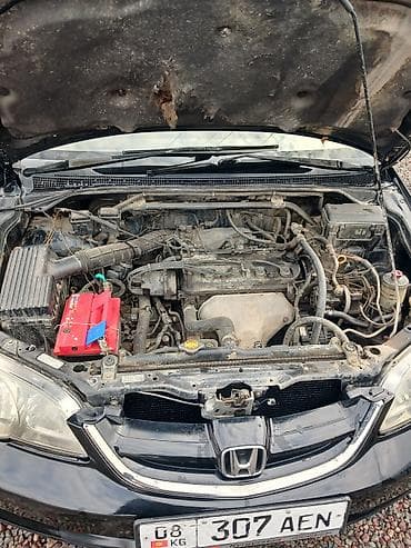 colf 3: Honda Odyssey: 2003 г., 2.3 л, Автомат, Бензин, Минивэн — 6