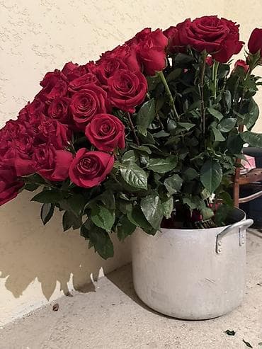 я ищу цветы: Срочно! Срочно! Продаю большие букеты роз - Состав: классические — 3