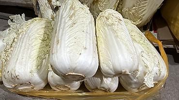 фермент для сыра: Капуста Пекинская, Оптом, В розницу — 1