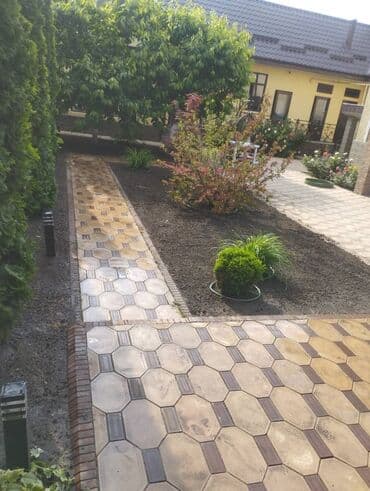 газонная трава цена бишкек: Посев газона🌱🌱🌱по доступной цене
Работаем под ключ 🔑 — 3