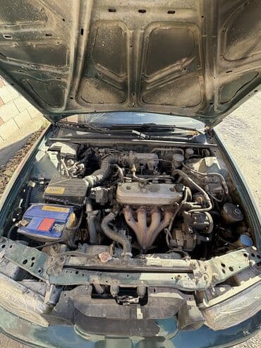 шипованная резина бишкек: Honda Accord: 1995 г., 2 л, Механика, Бензиновая, Седан — 8