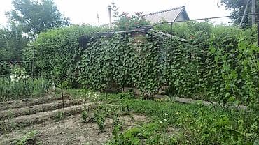 Дома: 🏡 Продается дача в дачном поселке «Энергетик» (ГЭС-6) Продается — 2
