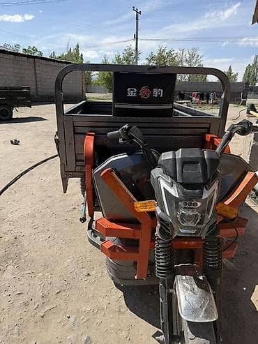 мото транспорт: Легкий грузовик — 2