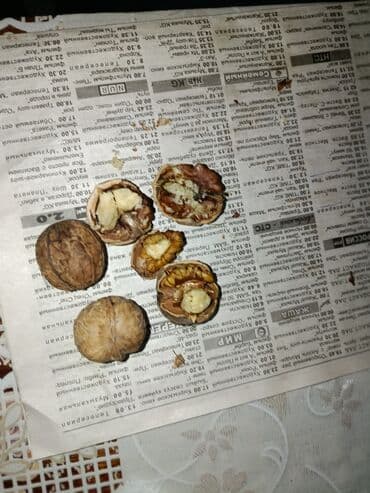 жмых подсолнечный: Грецкий орех в скорлупе,крупные тонкокорые,светлые в нутри и с наружи — 2