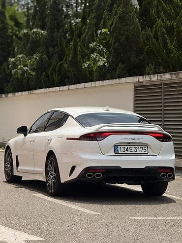 meister: Kia Stinger: 2020 г., 2.5 л, Бензин — 6