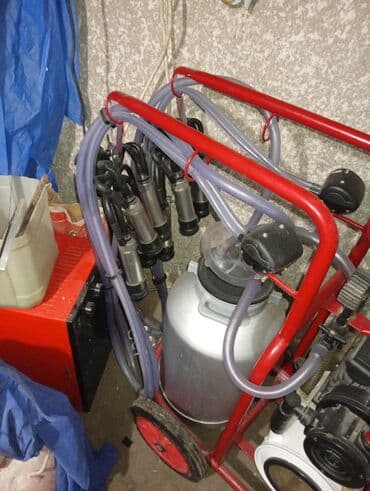 козу сатылат бишкек: Передвижной доильный аппарат на тележке - Тип: электрический — 2