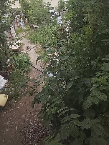 район церков: Продаётся кв барачного типа из 3х комнат.Имеется вода Аристон.Газовая — 3
