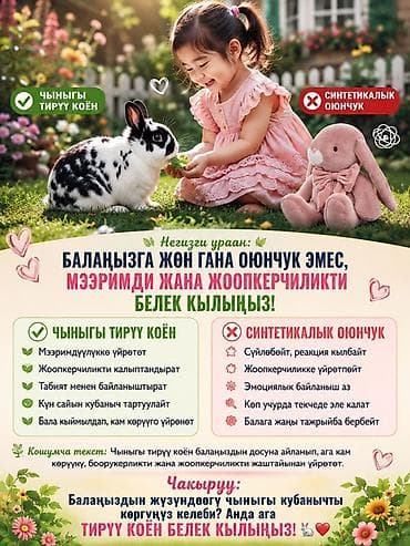 меняю на собаку: Живой кролик для детей — подарок, который учит заботе и — 1