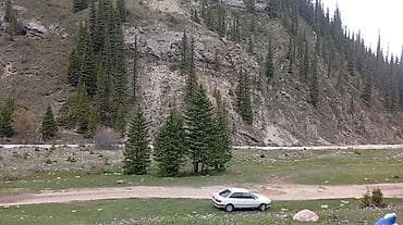 авто в аварийном состоянии: Audi 80: 1992 г., 2.6 л, Механика, Бензин, Седан — 7
